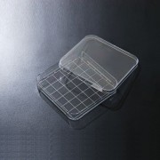 SPL Square Dish