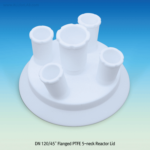 4~6 Necks All PTFE 45° DN-Standard Flanged Reactor Lid, with Assembly Screw Taper Socket Joint, DN60~DN200 FlangedCommon Use “ASTM & DIN” Cone Jointware, <UK-made>, PTFE 45° DN-표준 플랜지 반응조 안전 뚜껑