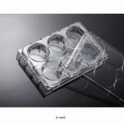 Biofil® Cell and Tissue Culture Plate, PS, TC-Treated & Non-Treated Surface, 6·12·24·48·96·384-Flat Well<br>With Lid, Labeled Alphanumeric Code, Individual Packing, γ-Sterile, 컬쳐 플레이트